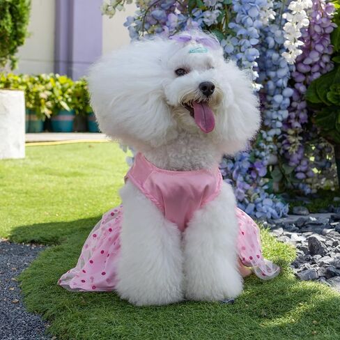 CuteBone Dog Dress Birthday Girl Puppy Princess Clothes Costume Cat Apparel Small Dogs Pet Outfit DD20M in Saudi Arabia