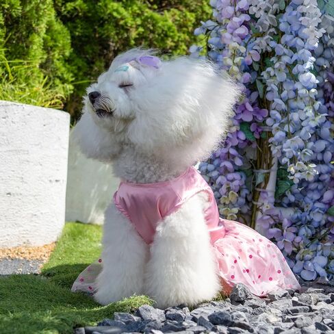 CuteBone Dog Dress Birthday Girl Puppy Princess Clothes Costume Cat Apparel Small Dogs Pet Outfit DD20M in Saudi Arabia