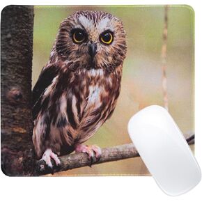 Owl Mouse Pad Cute Mouse Pads for Desk, Square Mousepad for Gaming Office Laptop, Non-Slip Rubber Computer Mouse Pads for Wireless Mouse Office Supplies Desk Accessories