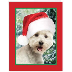 NobleWorks - Jumbo Christmas Greeting Card Funny (8.5 x 11 Inch) - Pet Animal Humor, Big Group Xmas Holiday Notecard - Tree Fainted Cat J2546XSG