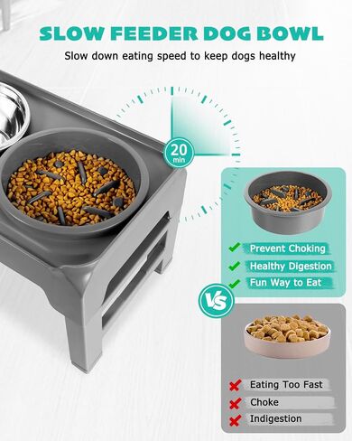 Elevated Dog Bowls, Raised Bowl Stand with Slow Food Feeder & Stainless Steel Water Dish, Feeding Station with 4 Adjustable Heights for Small Medium Large Dogs in Saudi Arabia