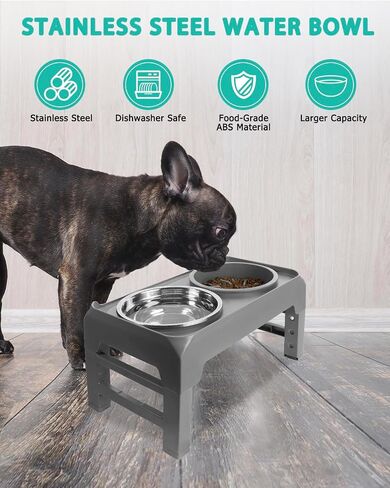 Elevated Dog Bowls, Raised Bowl Stand with Slow Food Feeder & Stainless Steel Water Dish, Feeding Station with 4 Adjustable Heights for Small Medium Large Dogs in Saudi Arabia