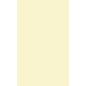 100 Sheet Card Stock Paper - Cream Colored 65lb Cover Legal Size of 8.5 x 14 Inches