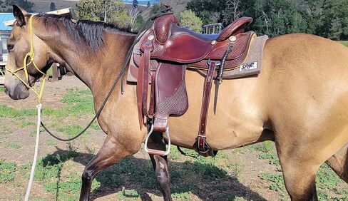 Western Tooled Padded Leather Rear Flank Back Saddle Cinch Billets in Saudi Arabia