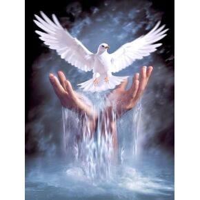 pigpigboss Pigeon Waterfall Diamond Painting Kit 5D Full Round Diamond Painting for Adult Waterfall Hand Diamond Painting Set Dove Diamond Dots Art for Home Decor (12 X 16 Inches)