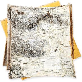Natural White Birch Bark 3 Sheets 12" x 12" - Russian Birch Bark Blank for DIY Crafts Home Decor - Birch Wood Bark Slices Natural Wood Paper Birch Tree Décor
