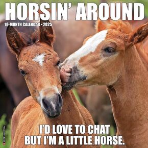 Willow Creek Press Horsin’ Around Monthly 2025 Wall Calendar (12" x 12")
