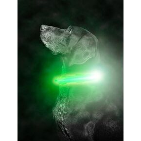 Mighty Paw LED Dog Collar - USB LED Rechargeable - USB Rechargeable Light - High Visibility Glow Strips - Glow Pet Feature - Weather Resistant - Bright Light Modes for Nighttime Safety - (L - Orange)