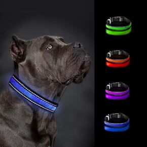 LED Dog Collar - Rechargeable USB Light Up Dog Collar - Waterproof, Multi-Mode Flashing Dog Collar (Large, Pink)
