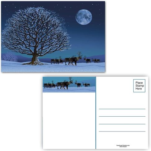 Stonehouse Collection | Variety of Forest Trees Christmas Postcards | 40 Assorted Beautiful Trees Postcards | 4 x 6 Inch Postcards | Fill in the Blank Postcards (Assorted) in Kuwait