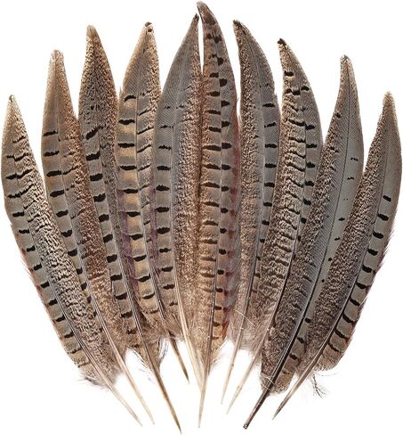 FeelfunFeather 5pcs Pheasant Feather 16-18inch 40-45cm Natural Male Ringneck Tails Feathers for DIY Crafts Home Wedding Party Carnival Decoration in Saudi Arabia