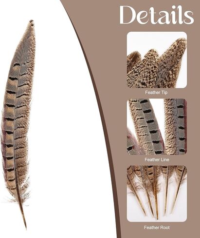 FeelfunFeather 5pcs Pheasant Feather 16-18inch 40-45cm Natural Male Ringneck Tails Feathers for DIY Crafts Home Wedding Party Carnival Decoration in Saudi Arabia