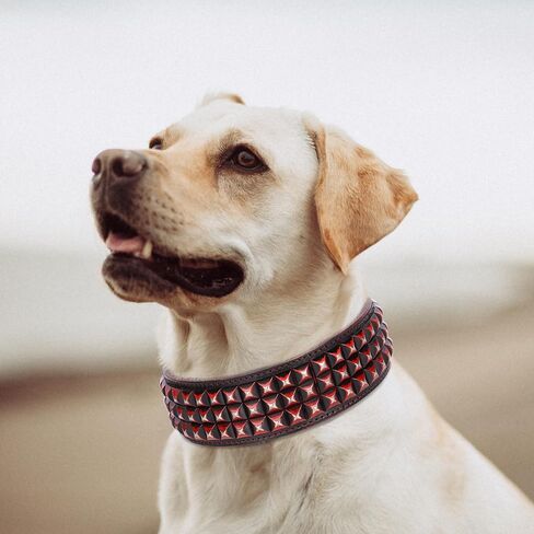 PET ARTIST Soft Leather Dog Collars for Medium Dogs, Luxury Genuine Leather Dog Collar with Rivet Studded, 2 inch Wide Heavy Duty Dog Collar Adjustable for Pit Bull Great Dane Fit 15-18" in Kuwait