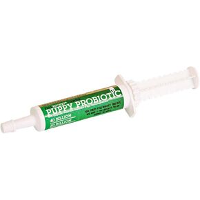 Puppy Probiotic Paste with 60 Billion Probiotic CFUs, Enzymes, Prebiotics and Egg Immunoglobulins for Urgent Care, 32.5 mL Tube