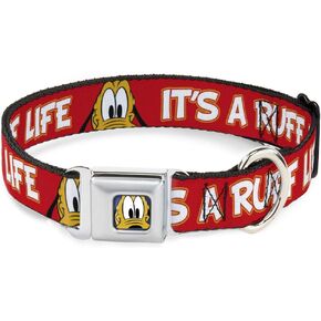 Dog Collar Seatbelt Buckle Pluto 2 Pose Its A Ruff Life Red Yellow White 15 to 26 Inches 1.0 Inch Wide