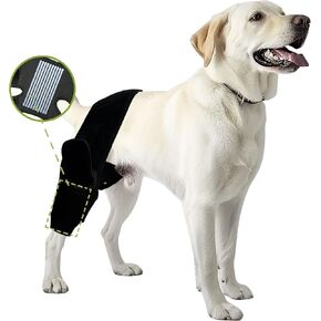 Dog Leg Braces for Back Leg- Dog ACL Brace for Torn and Back Hind Rear Legs ACL Tear, Dog Leg Brace for Hip Dysplasia, Dog Arthritis, Luxating Patella(Size XL)