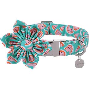 DOGWONG Easter Egg Dog Collar with Flower,Holiday Dog Collar Comfortable Durable Dog Collar for Small Medium Large Dog