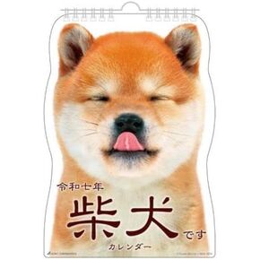 Shiba Inu at A Glance 2025 wall Calendar 2025 Wall Calendar 12 Month Made in Japan
