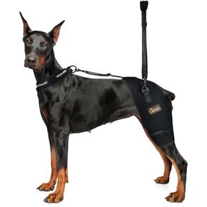 LISPOO Dog Hip Support Brace for Hip Dysplasia,Hip Joint Pain,Hip Brace for Dogs with Low Back Pain/Weakness,Dog Hip Dysplasia Brace Warm Hip Joint to Relieves Pain, Dog Hip Brace M