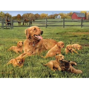 Buffalo Games - Robert Hautman - Glorious Goldens - 750 Piece Jigsaw Puzzle for Adults -Challenging Puzzle Perfect for Game Nights - Finished Size is 24.00 x 18.00