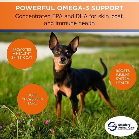Stratford Pharmaceuticals EZ Chew Omega 3 Fatty Acid Soft Chew Max Strength - Dog Omega 3 Supplement - Soft Chew Treats with Fish Oil for Dogs - Small and Medium Dogs - 60 Soft Chews in Saudi Arabia
