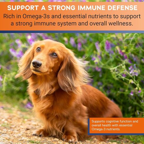 Stratford Pharmaceuticals EZ Chew Omega 3 Fatty Acid Soft Chew Max Strength - Dog Omega 3 Supplement - Soft Chew Treats with Fish Oil for Dogs - Small and Medium Dogs - 60 Soft Chews in Saudi Arabia