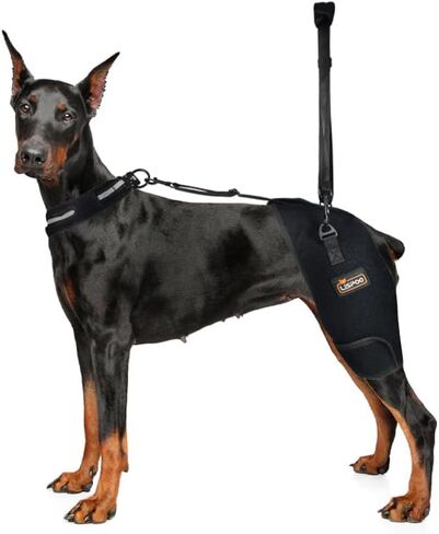 LISPOO Dog Hip Support Brace for Hip Dysplasia,Hip Joint Pain,Hip Brace for Dogs with Low Back Pain/Weakness,Dog Hip Dysplasia Brace Warm Hip Joint to Relieves Pain, Dog Hip Brace M in Saudi Arabia