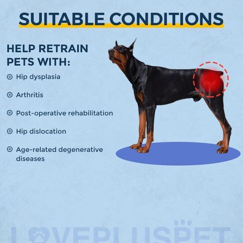 LISPOO Dog Hip Support Brace for Hip Dysplasia,Hip Joint Pain,Hip Brace for Dogs with Low Back Pain/Weakness,Dog Hip Dysplasia Brace Warm Hip Joint to Relieves Pain, Dog Hip Brace M in Saudi Arabia