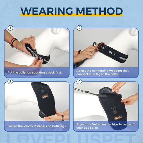 LISPOO Dog Hip Support Brace for Hip Dysplasia,Hip Joint Pain,Hip Brace for Dogs with Low Back Pain/Weakness,Dog Hip Dysplasia Brace Warm Hip Joint to Relieves Pain, Dog Hip Brace M in Saudi Arabia
