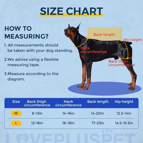 LISPOO Dog Hip Support Brace for Hip Dysplasia,Hip Joint Pain,Hip Brace for Dogs with Low Back Pain/Weakness,Dog Hip Dysplasia Brace Warm Hip Joint to Relieves Pain, Dog Hip Brace M in Saudi Arabia
