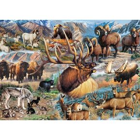 Ceaco - Wild - America The Wild - 1000 Piece Jigsaw Puzzle