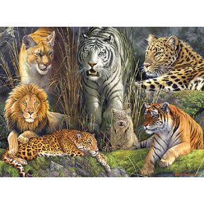 Buffalo Games - James Hautman - Big Cat Collage - 1000 Piece Jigsaw Puzzle for Adults Challenging Puzzle Perfect for Game Nights - Finished Puzzle Size is 26.75 x 19.75