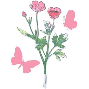 Sizzix A5 Clear Stamps & Framelits Dies - Painted Pencil Botanical by 49 and Market