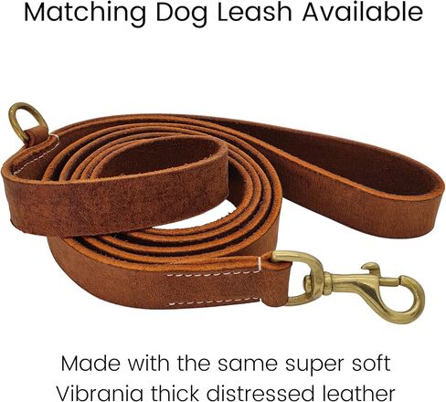 BlazingPaws® Vibrington Martingale Leather Dog Collar, Slip-On, Adjustable, for Medium Dogs, 3/4 Inch Wide in Colorful Thick Distressed Leather Shades (Tan, M: Neck Size 12-14 Inches) in Kuwait