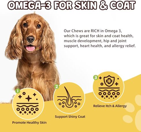 فيتامينات متعددة للكلاب قابلة للمضغ مع المعادن للصحة العامة - فيتامينات ومكملات للكلاب مع البروبيوتيك والجلوكوزامين والكوندرويتين وأوميغا 3 للمناعة - المفاصل - الأمعاء - الجلد والفرو - 120 مضغ in Kuwait