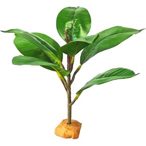 Woyrise Reptile Plants for Terrarium Decor, Amphibian Habitat Artificial Plant, Bearded Dragon Tank Accessories fit Gecko Lizard Chameleon Ball Python Snake Frog - Ficus Microcarpa
