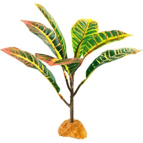 نباتات الزواحف Woyrise لديكور Terrarium، نبات اصطناعي لموائل البرمائيات، ملحقات خزان التنين الملتحي تناسب Gecko Lizard Chameleon Ball Python Snake Frog - Ficus Microcarpa in Kuwait