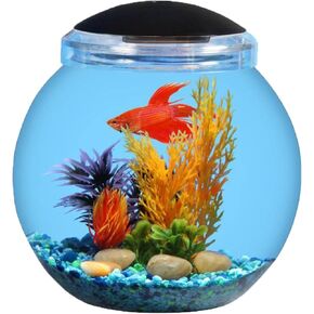 Koller Products 2-Gallon Bowl with LED Lighting (7 Color Selections)