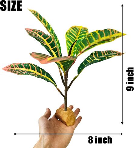 نباتات الزواحف Woyrise لديكور Terrarium، نبات اصطناعي لموائل البرمائيات، ملحقات خزان التنين الملتحي تناسب Gecko Lizard Chameleon Ball Python Snake Frog - Ficus Microcarpa in Kuwait