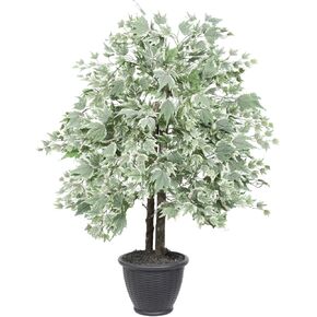Vickerman 4' Indoor Artificial Silver Maple Bush, Brown Plastic Container.