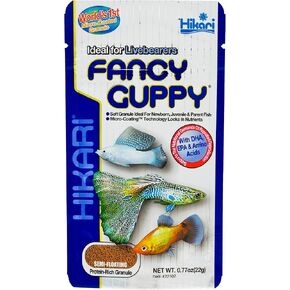 Hikari Fancy Guppy