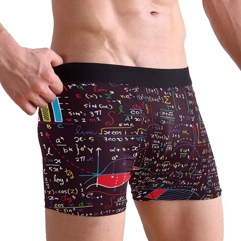 ZZKKO Lion Giraffe Cat Mens Boxer Briefs Underwear Breathable Stretch Boxer Trunk with Pouch S-XXL in Kuwait