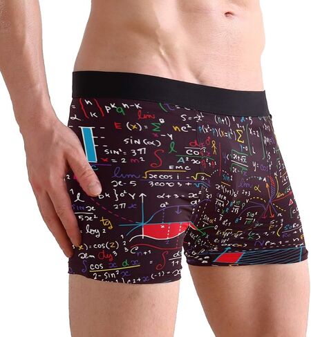 ZZKKO Lion Giraffe Cat Mens Boxer Briefs Underwear Breathable Stretch Boxer Trunk with Pouch S-XXL in Kuwait