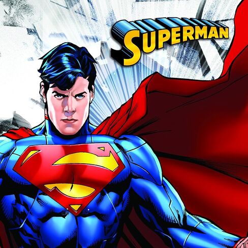 DC Comics Superman Jewelry for Women Sterling Silver Crystal Rose Earrings in Saudi Arabia