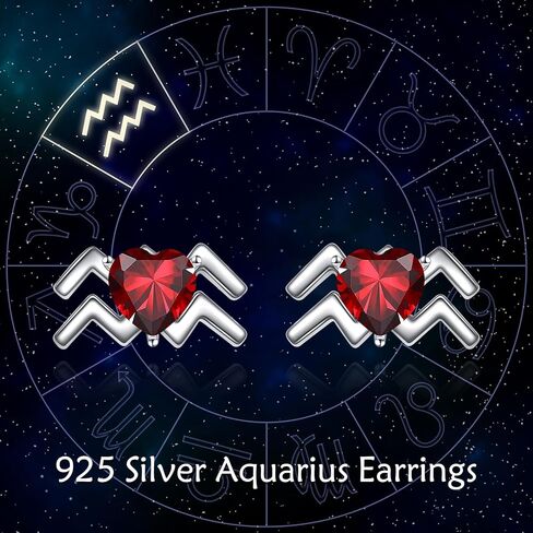 Zodiac Constellation Earrings with Heart-Shaped Birthstones Aquarius Earrings - Unique Jewelry Gift for Aquarius Women in Kuwait