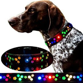 Subversive USB-C led Light up Dog Collar,Star Running LED Design Comfortable and Soft Material,Multicolored Lighting (Black, S(7.87-11.8"))