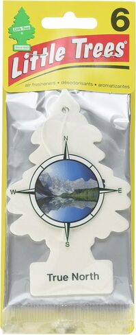 Little Trees Car Air Freshener | Hanging Paper Tree for Home or Car | Black Ice | 3 Pack in Saudi Arabia