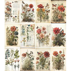 Eclectic Cats Rice Paper, 8 x 10.5 inch (6pc) - Mulberry Paper for Decoupage Scrapbooking Cards Crafts by Craft Kreatively