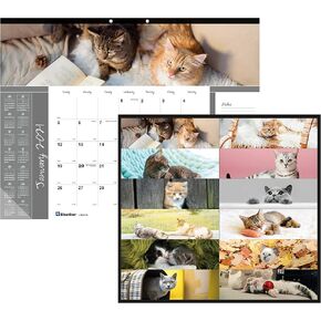 Blueline® 2025 Monthly Desk Pad Calendar, 12 Months, January to December, 22" x 17", Furry Collection (C194115-25)