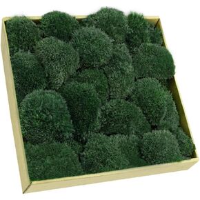 TCYPUHL 1 sq.ft, Green Pillow Moss Bulk Cushion Moss Preserved Pillow Bun Moss Preserved Moss Wall Art Natural Moss Decorative